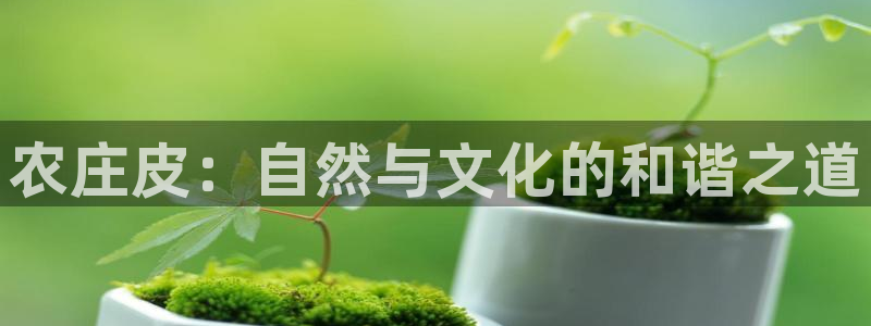 天辰娱乐首页