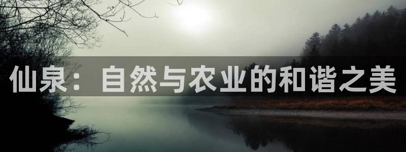 天辰娱乐小姐