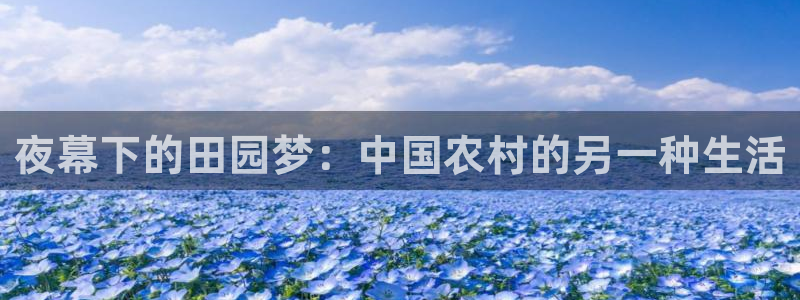天辰娱乐 . 鱼刺
