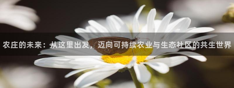 天辰娱乐