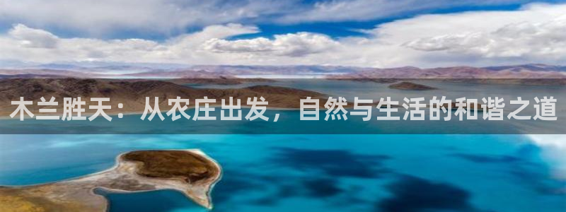 天辰娱乐输了