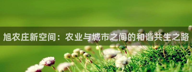 天辰娱乐链接