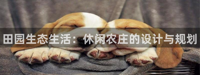 天辰娱乐传媒