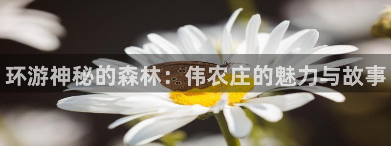天辰娱乐棋牌