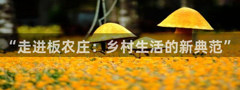 天辰娱乐 849852