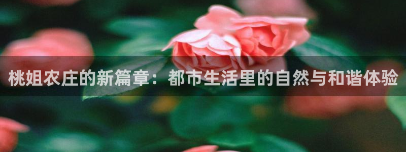 天辰娱乐675138