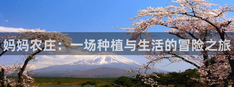 天辰辰娱乐代理