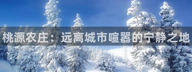 天辰娱乐 44516
