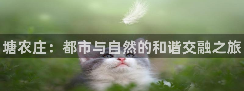 北京天辰娱乐