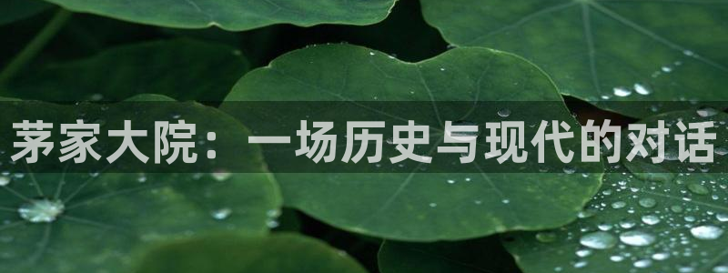 天辰线上娱乐