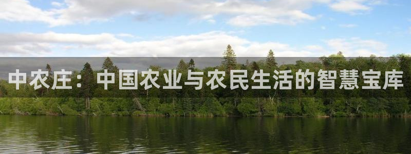 大同天辰娱乐
