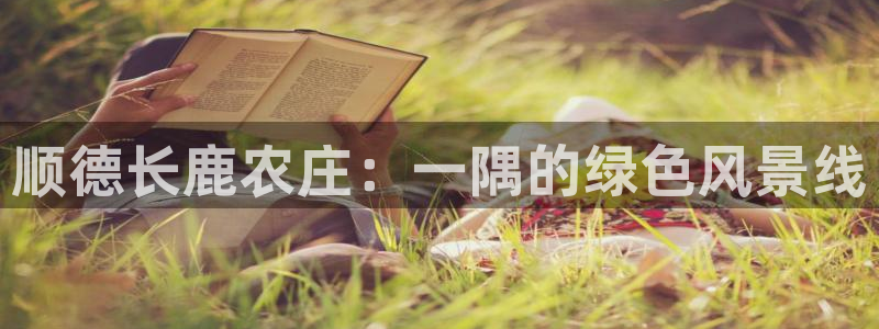 天辰娱乐股票
