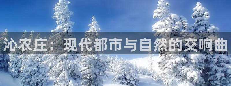 天辰娱乐
