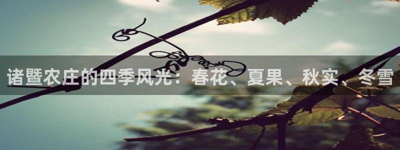 天辰娱乐国际