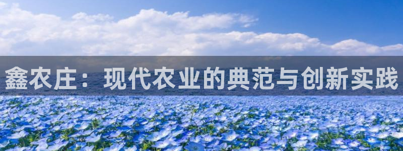 天辰娱乐 主管
