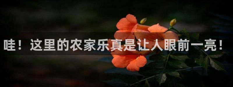 天辰娱乐说