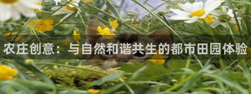 天辰2娱乐