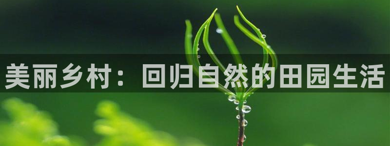 天辰娱乐测速