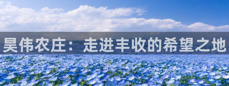 天辰娱乐_ 18113