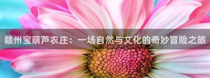 天辰娱乐游戏平台怎么样