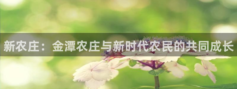 南京天辰娱乐