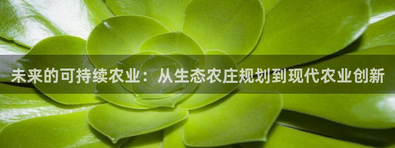 天辰娱乐视频