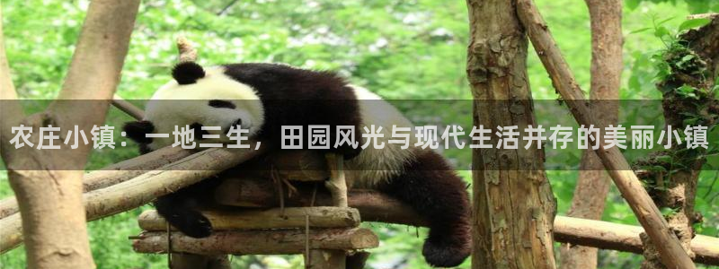 天辰娱乐说