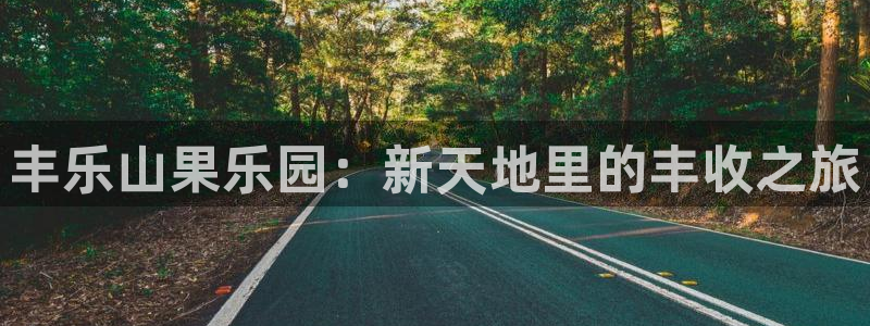 天辰娱乐平台入口