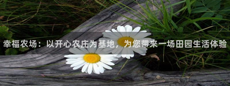 天辰娱乐557696