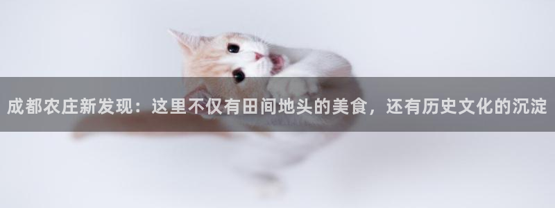 天辰娱乐彩票